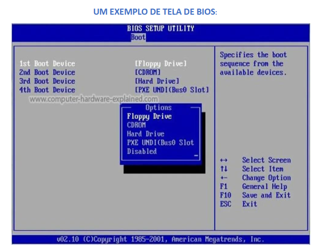 imagem de bios2